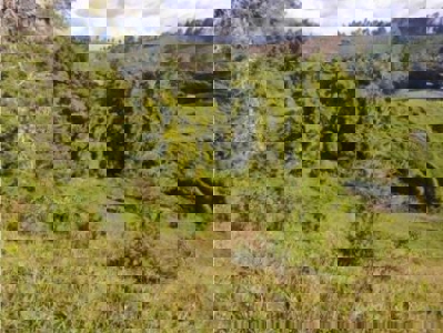 Premium and Exclusive Land Lot in El Tablazo, Near Equinox - image 8