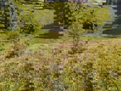 Premium and Exclusive Land Lot in El Tablazo, Near Equinox - image 14