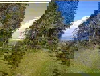 Premium and Exclusive Land Lot in El Tablazo, Near Equinox - image 13