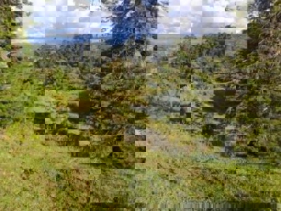 Premium and Exclusive Land Lot in El Tablazo, Near Equinox - image 3