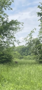 Home and Land for Sale, Bath Co Kentucky - image 36