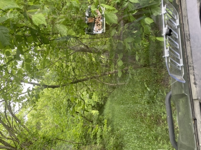 Home and Land for Sale, Bath Co Kentucky - image 39