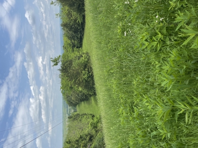 Home and Land for Sale, Bath Co Kentucky - image 26