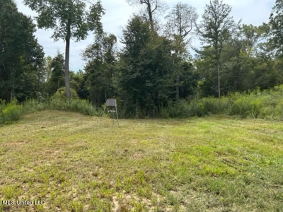 60 Acres For Sale In Yazoo County, MS - image 4