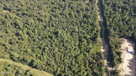 60 Acres For Sale In Yazoo County, MS - image 29