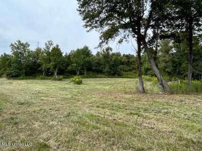 60 Acres For Sale In Yazoo County, MS - image 2