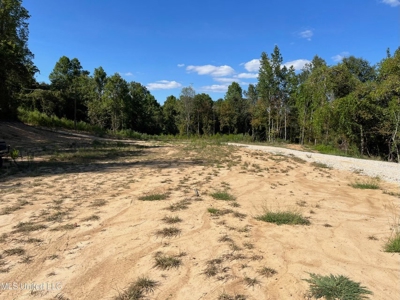 60 Acres For Sale In Yazoo County, MS - image 7