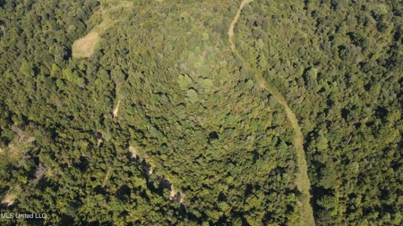 60 Acres For Sale In Yazoo County, MS - image 30