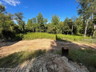 60 Acres For Sale In Yazoo County, MS - image 13
