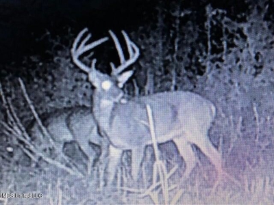 60 Acres For Sale In Yazoo County, MS - image 38