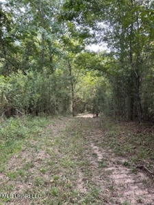 60 Acres For Sale In Yazoo County, MS - image 5
