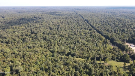 60 Acres For Sale In Yazoo County, MS - image 35