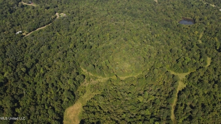 60 Acres For Sale In Yazoo County, MS - image 25