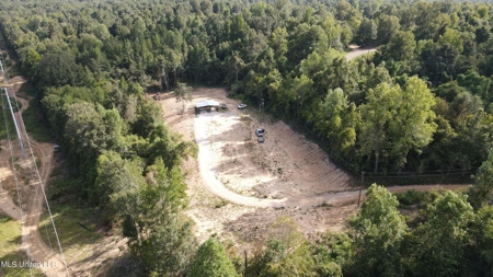 60 Acres For Sale In Yazoo County, MS - image 16