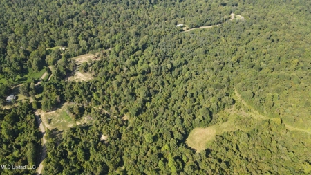 60 Acres For Sale In Yazoo County, MS - image 24