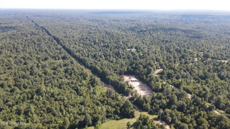 60 Acres For Sale In Yazoo County, MS - image 32