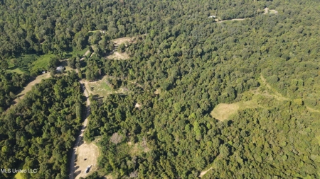 60 Acres For Sale In Yazoo County, MS - image 22