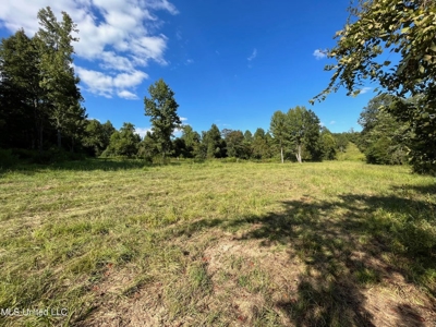 60 Acres For Sale In Yazoo County, MS - image 10