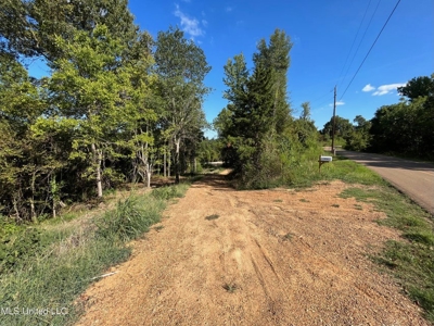 60 Acres For Sale In Yazoo County, MS - image 14