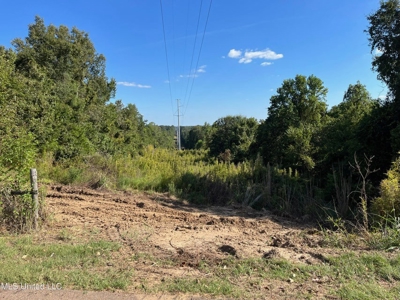 60 Acres For Sale In Yazoo County, MS - image 15