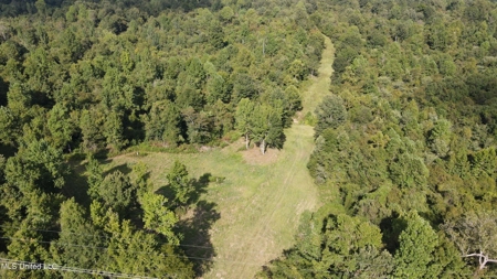 60 Acres For Sale In Yazoo County, MS - image 18