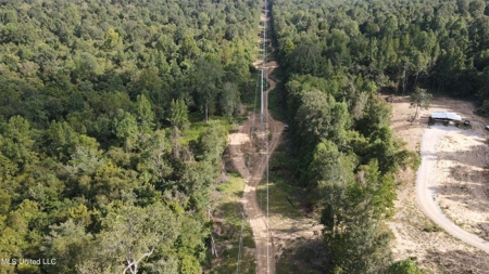 60 Acres For Sale In Yazoo County, MS - image 23