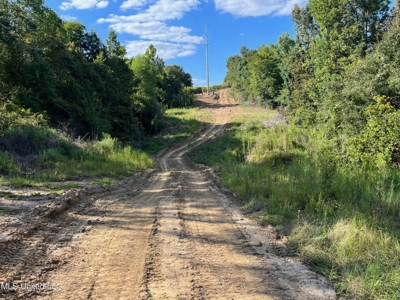 60 Acres For Sale In Yazoo County, MS - image 12