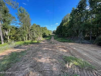 60 Acres For Sale In Yazoo County, MS - image 11