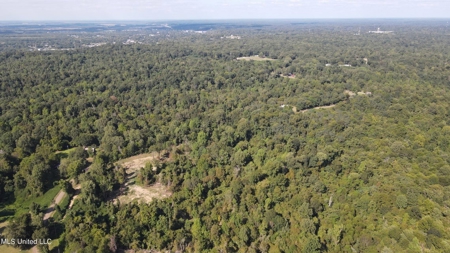 60 Acres For Sale In Yazoo County, MS - image 37