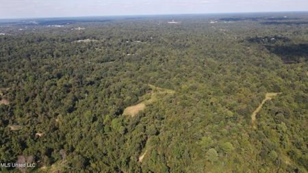 60 Acres For Sale In Yazoo County, MS - image 34
