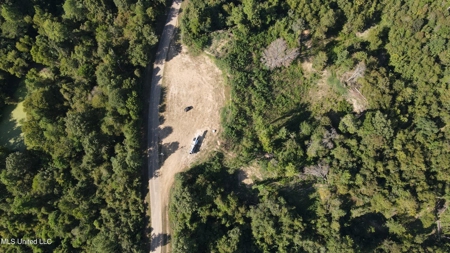 60 Acres For Sale In Yazoo County, MS - image 19