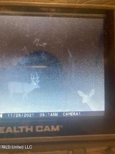 60 Acres For Sale In Yazoo County, MS - image 40
