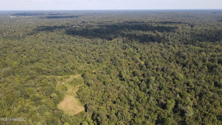 60 Acres For Sale In Yazoo County, MS - image 36