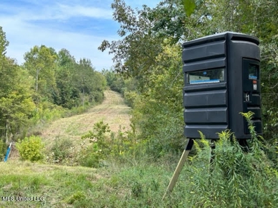 60 Acres For Sale In Yazoo County, MS - image 1