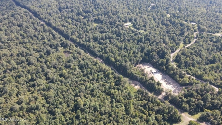 60 Acres For Sale In Yazoo County, MS - image 21