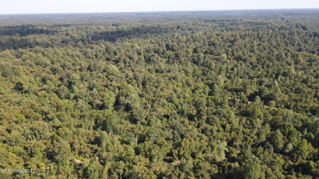 60 Acres For Sale In Yazoo County, MS - image 26