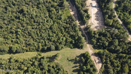 60 Acres For Sale In Yazoo County, MS - image 31