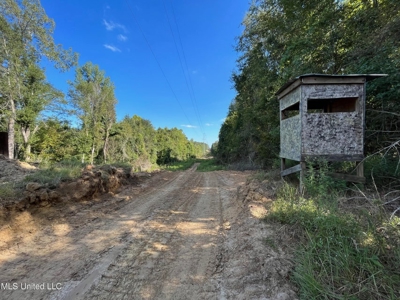 60 Acres For Sale In Yazoo County, MS - image 9