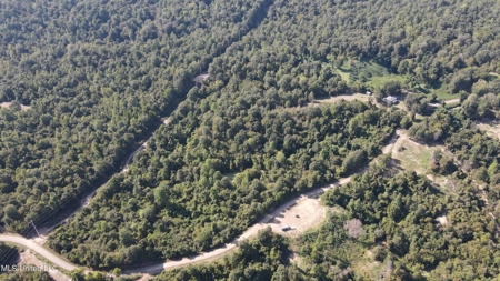 60 Acres For Sale In Yazoo County, MS - image 20