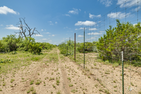 136 Acres | Tier One Deer Facility in Sonora, TX - image 33