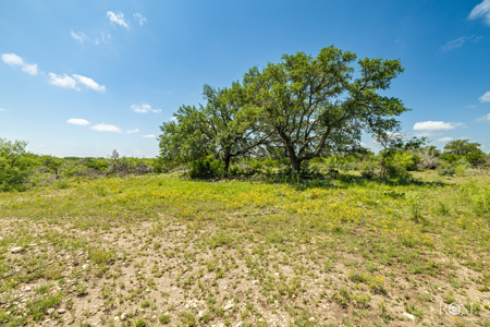 136 Acres | Tier One Deer Facility in Sonora, TX - image 24
