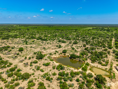 136 Acres | Tier One Deer Facility in Sonora, TX - image 12