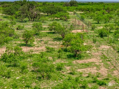 136 Acres | Tier One Deer Facility in Sonora, TX - image 6