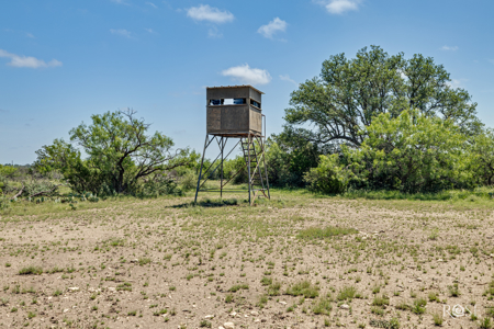 136 Acres | Tier One Deer Facility in Sonora, TX - image 27