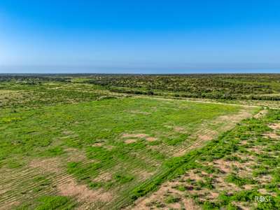 Turnkey 512-Acre Hunting Ranch in TX - image 7