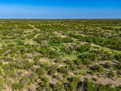 Turnkey 512-Acre Hunting Ranch in TX - image 14