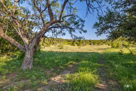 Turnkey 512-Acre Hunting Ranch in TX - image 11