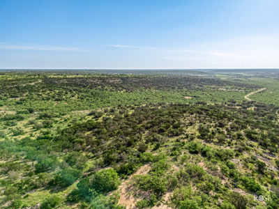 Turnkey 512-Acre Hunting Ranch in TX - image 9