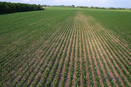 Dallas County Iowa Farmland Auction - image 28