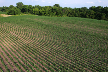 Dallas County Iowa Farmland Auction - image 15